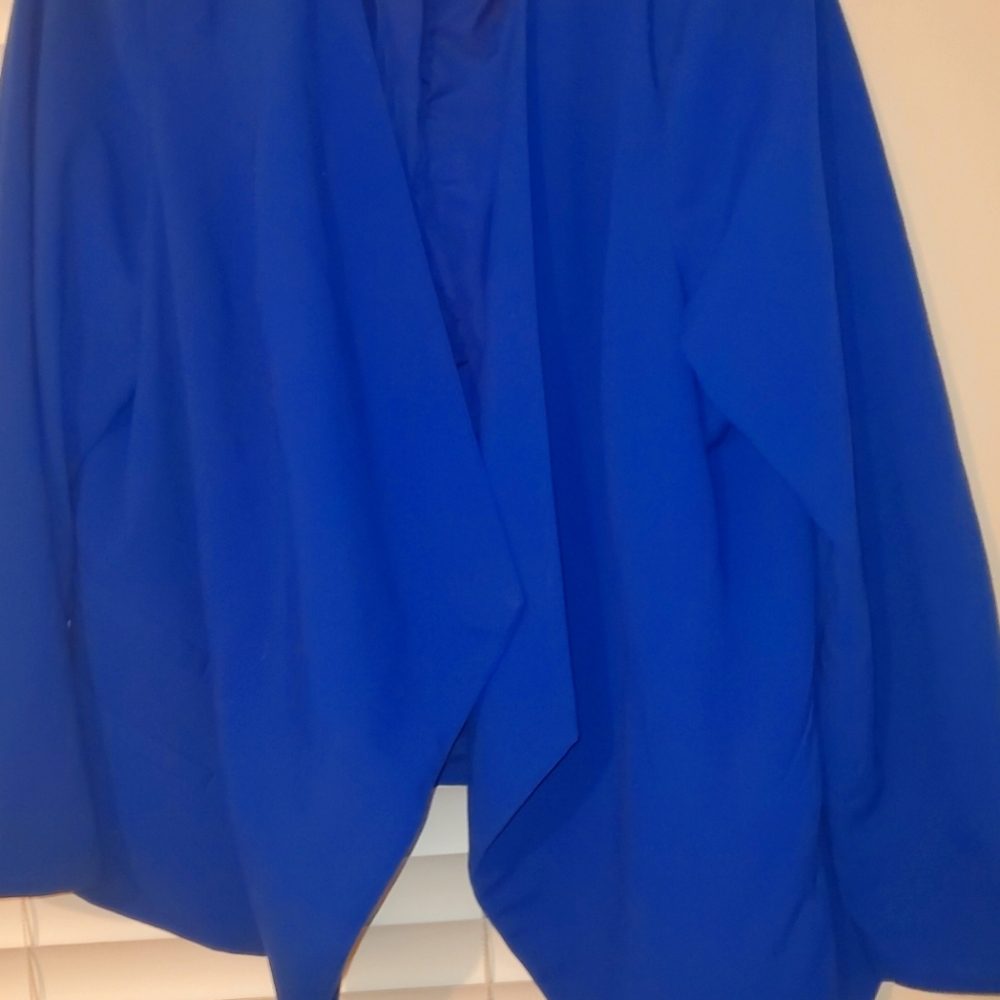 Blue Blazer - image 1